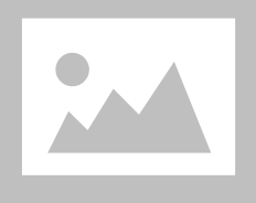 New Waves Model Show case 4 Door